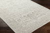 Livabliss Alpharetta APH-2304 Light Grey Area Rug