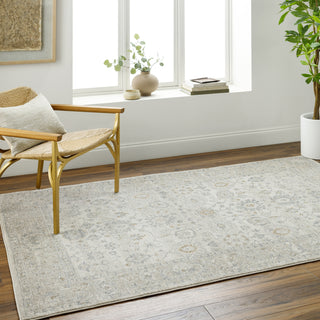 Surya Alpharetta APH-2304 Light Grey Area Rug Room Scene Feature