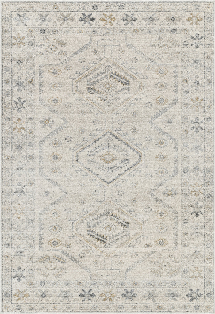 Livabliss Alpharetta APH-2305 Light Grey Area Rug