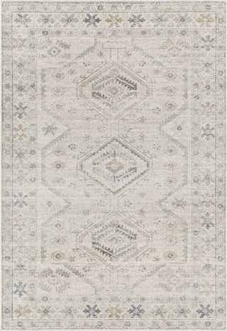 Livabliss Alpharetta APH-2305 Light Grey Area Rug