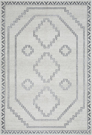 Livabliss Alpharetta APH-2306 Light Grey Area Rug