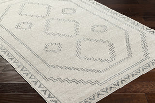 Livabliss Alpharetta APH-2306 Light Grey Area Rug