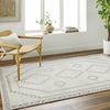 Surya Alpharetta APH-2306 Light Grey Area Rug Room Scene Feature