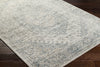 Livabliss Alpharetta APH-2308 Pale Slate Area Rug