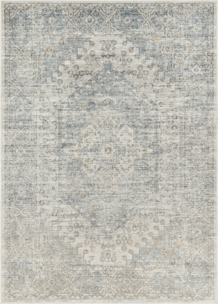 Livabliss Alpharetta APH-2308 Pale Slate Area Rug