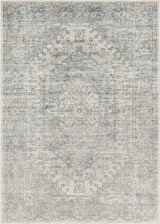 Livabliss Alpharetta APH-2308 Pale Slate Area Rug