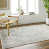 Surya Alpharetta APH-2308 Pale Slate Area Rug Room Scene Feature