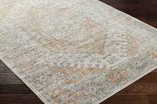 Livabliss Alpharetta APH-2309 Ash Area Rug