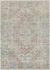 Livabliss Alpharetta APH-2309 Ash Area Rug