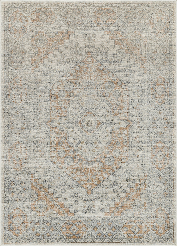 Livabliss Alpharetta APH-2309 Ash Area Rug