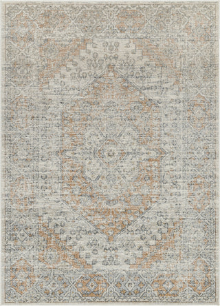 Livabliss Alpharetta APH-2309 Ash Area Rug