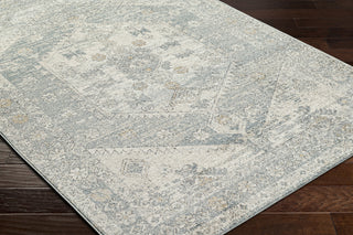 Livabliss Alpharetta APH-2310 Area Rug