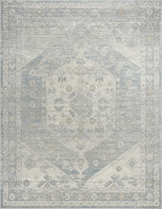 Livabliss Alpharetta APH-2310 Area Rug