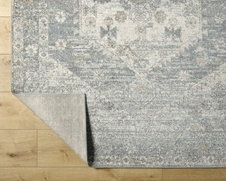 Livabliss Alpharetta APH-2310 Area Rug