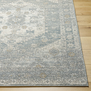 Livabliss Alpharetta APH-2310 Area Rug