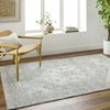 Surya Alpharetta APH-2310 Area Rug Room Scene Feature