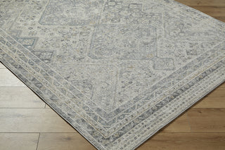 Livabliss Alpharetta APH-2311 Area Rug