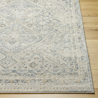 Livabliss Alpharetta APH-2311 Area Rug