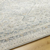 Livabliss Alpharetta APH-2311 Area Rug