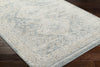 Livabliss Alpharetta APH-2312 Area Rug