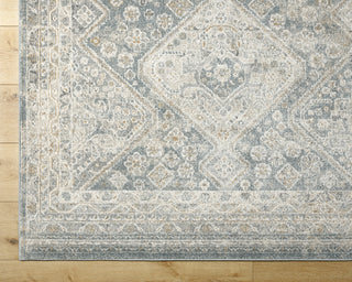 Livabliss Alpharetta APH-2312 Area Rug