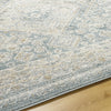 Livabliss Alpharetta APH-2312 Area Rug