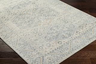 Livabliss Alpharetta APH-2313 Area Rug