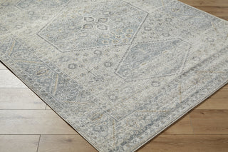 Livabliss Alpharetta APH-2313 Area Rug