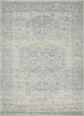 Livabliss Alpharetta APH-2313 Area Rug