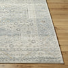 Livabliss Alpharetta APH-2313 Area Rug