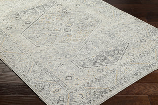 Livabliss Alpharetta APH-2314 Pale Slate Area Rug