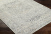 Livabliss Alpharetta APH-2314 Pale Slate Area Rug