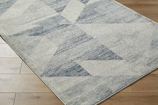 Livabliss Alpharetta APH-2316 Area Rug