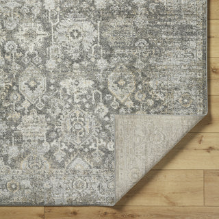 Livabliss Alpharetta APH-2318 Area Rug