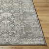 Livabliss Alpharetta APH-2318 Area Rug