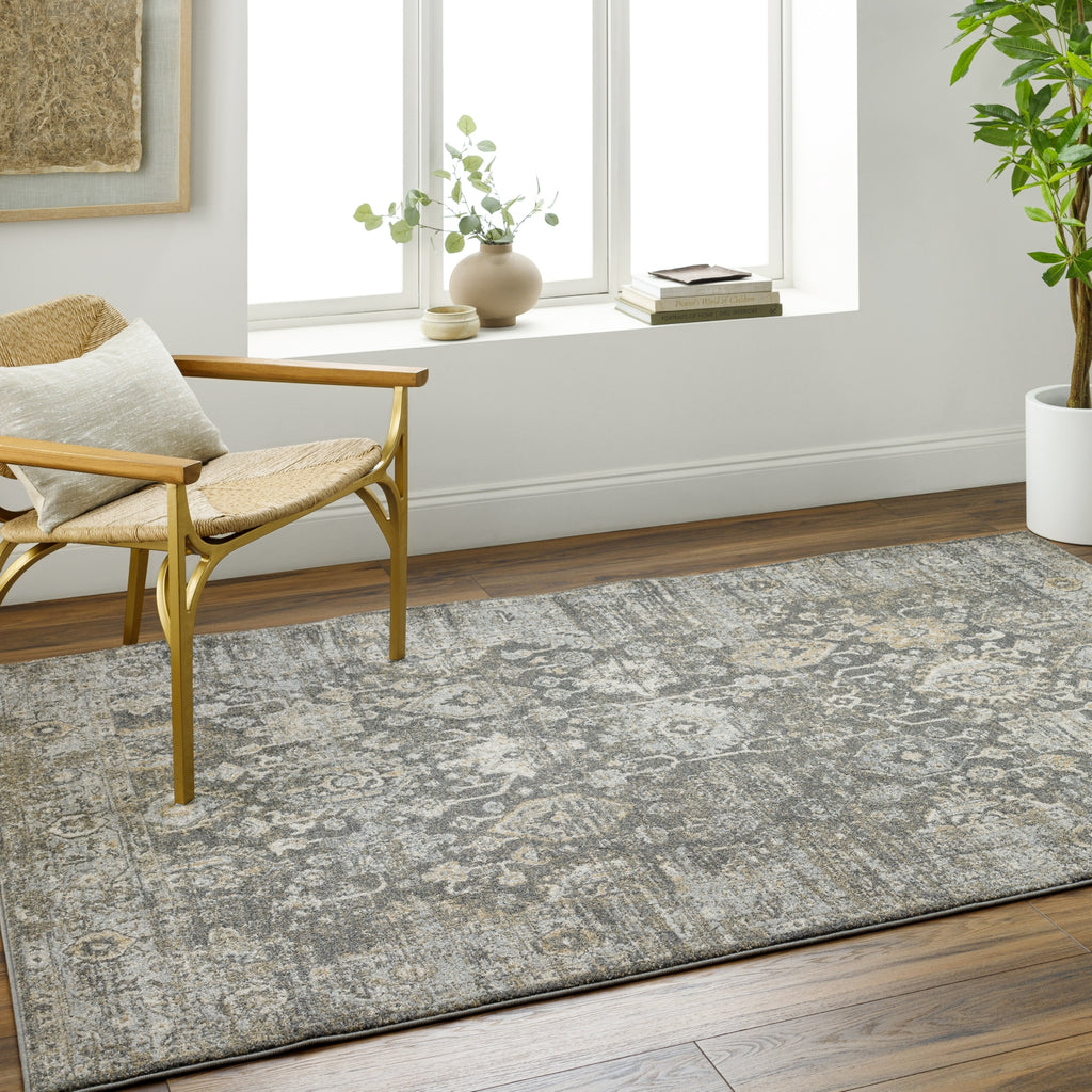 Surya Alpharetta APH-2318 Area Rug Room Scene Feature