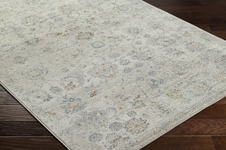 Livabliss Alpharetta APH-2320 Pale Slate Area Rug