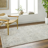 Surya Alpharetta APH-2320 Pale Slate Area Rug Room Scene Feature