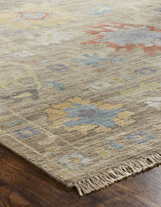 Ancient Boundaries Aquilla AQU-01 Weathered Walnut/Multi Area Rug Alternative Image