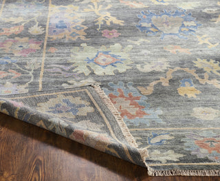 Ancient Boundaries Aquilla AQU-02 Smoke/Multi Area Rug Alternative Image
