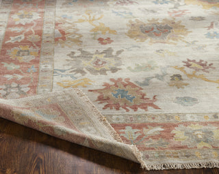 Ancient Boundaries Aquilla AQU-05 Parchment/Spice Area Rug Alternative Image