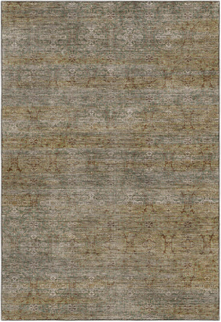 Dalyn Aristo AR5 Basil Area Rug main image