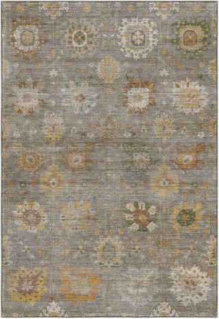 Dalyn Aristo AR6 Gray Area Rug main image