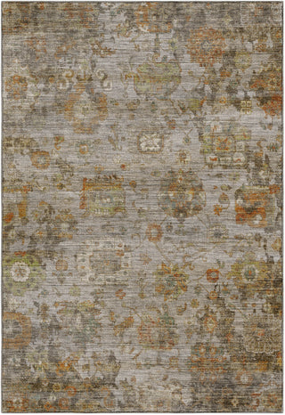 Dalyn Aristo AR7 Silver Area Rug main image