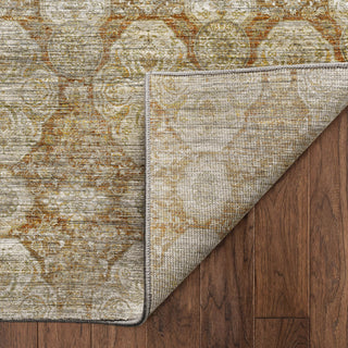 Dalyn Aristo AR8 Terracotta Area Rug Backing Image