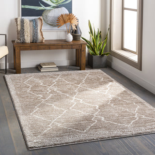 Surya Andorra ARD-2310 Area Rug Room Scene Feature
