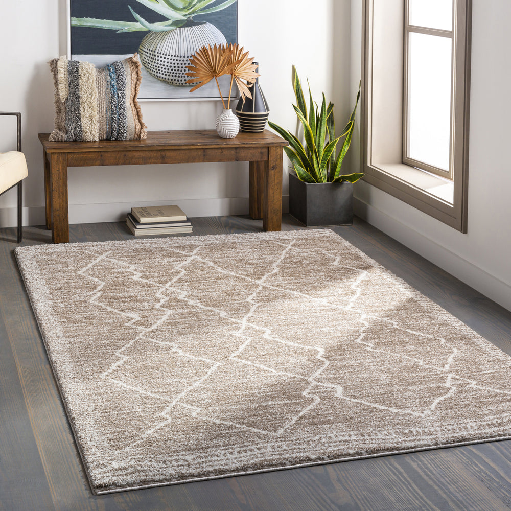 Surya Andorra ARD-2310 Area Rug Room Scene Feature