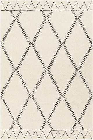 Surya Arsenal ARL-2302 Area Rug main image
