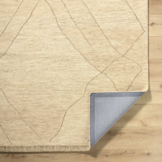 Livabliss Arsenal ARL-2308 Beige Area Rug Pile