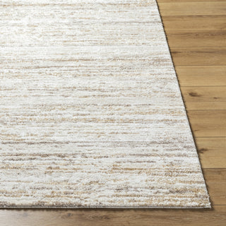 Livabliss Andorra Plus ARP-2301 Light Silver Area Rug